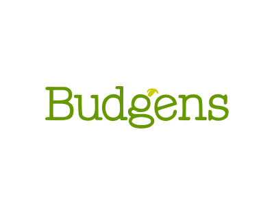 client_budgens